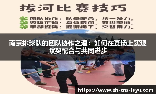 乐鱼体育APP